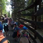 phoca_thumb_m_vp- 1.den  43 Fotogalerie